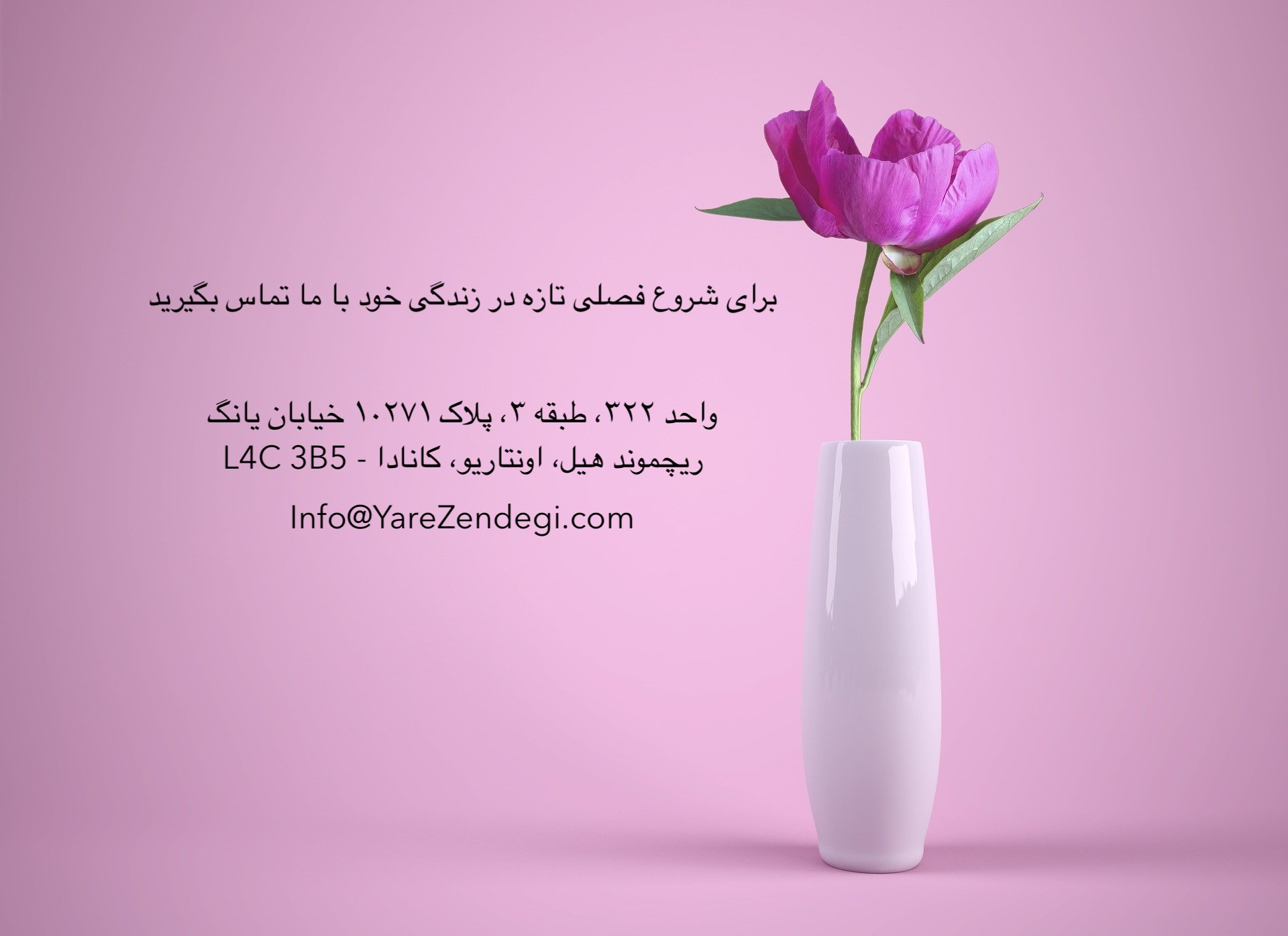 اطلاعات تماس مجموعه یار زندگی